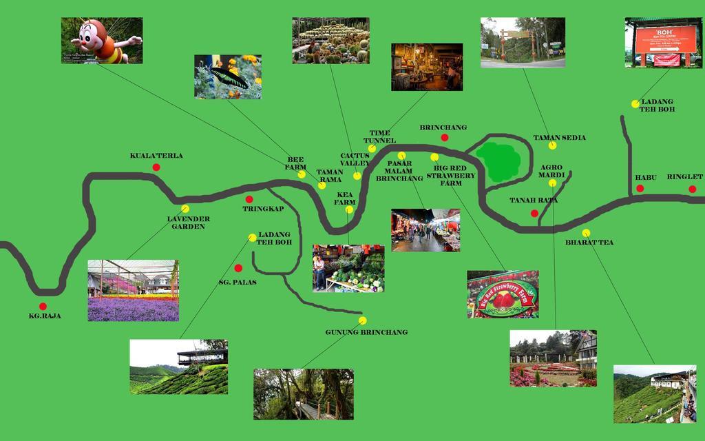Homestay Cameron Highlands Mikayla Екстер'єр фото